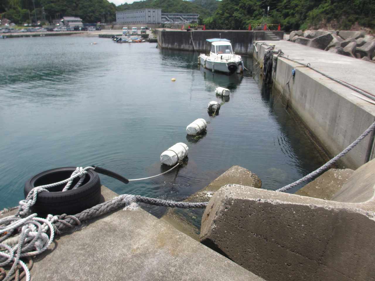 島根県の海釣り・浜田市・三隅港